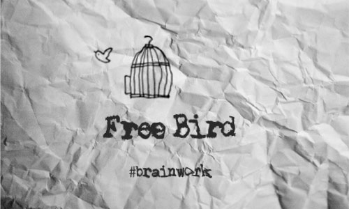 free bird image on crumbled paper